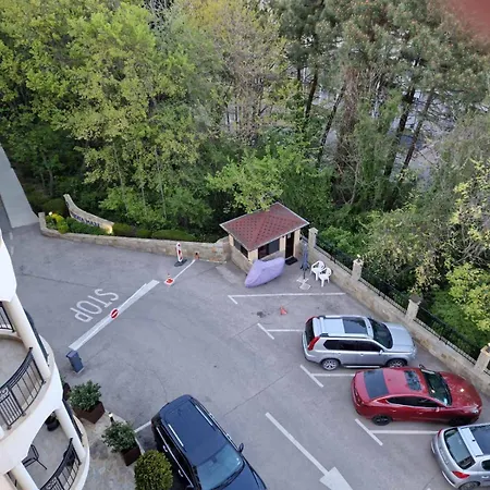 Bendita Mare Family *